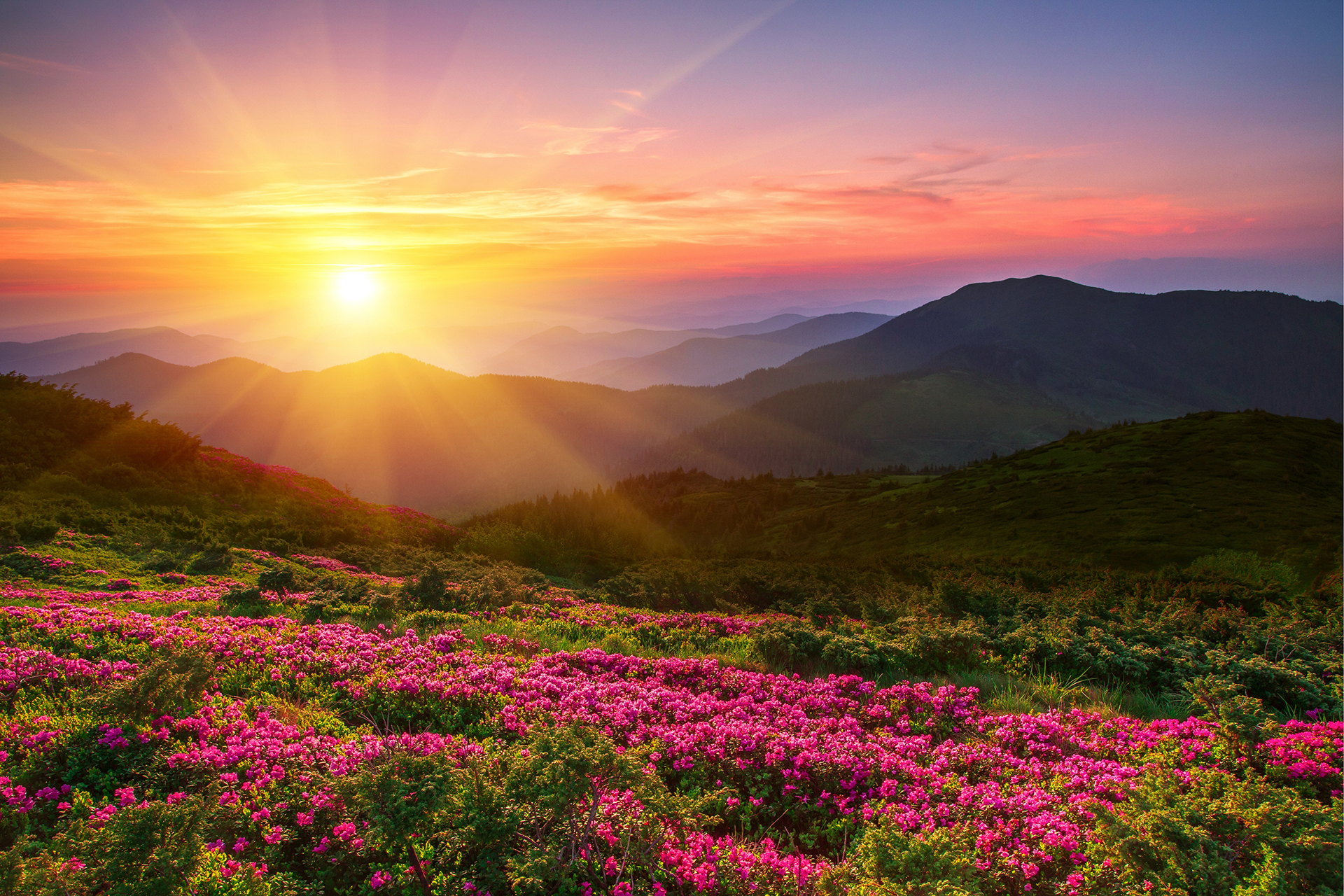 Sunrise_377