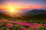 Sunrise_377