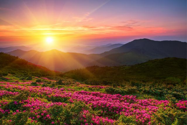 Sunrise_377