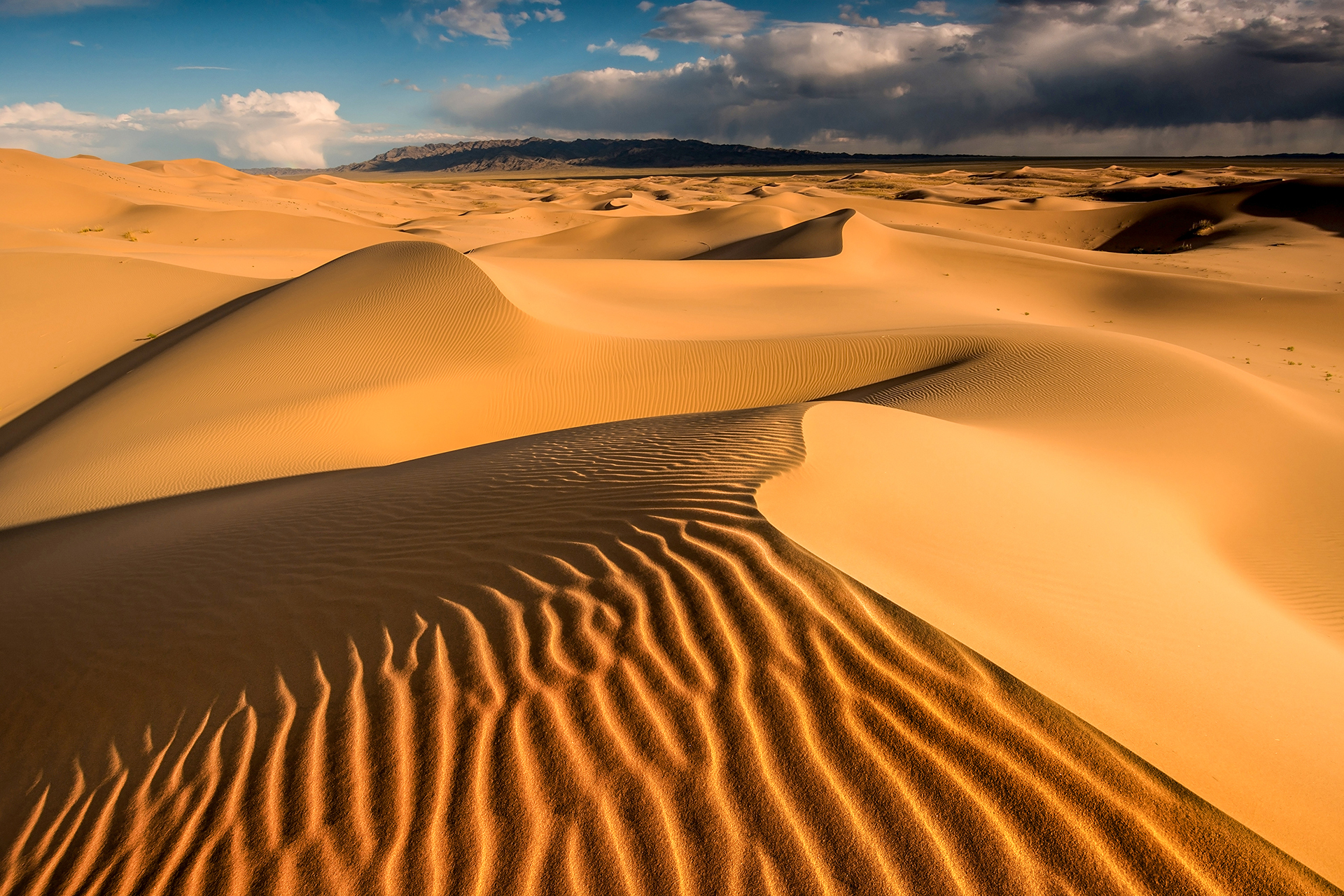Desert_130