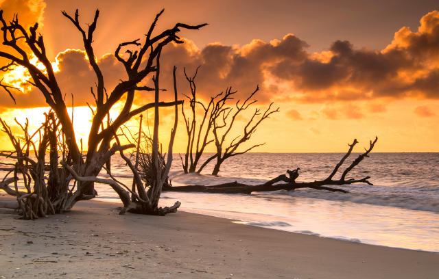Sunrise_386