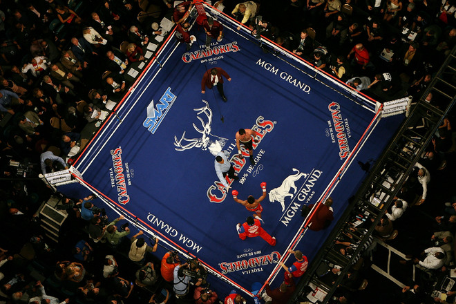 hoya_pacquiao14