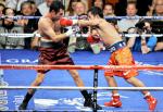 hoya_pacquiao17