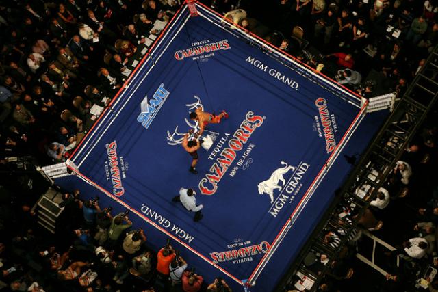hoya_pacquiao20