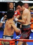 hoya_pacquiao27
