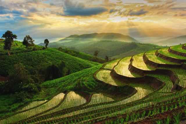 thailand_631