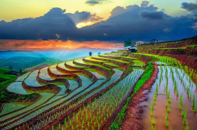 thailand_632