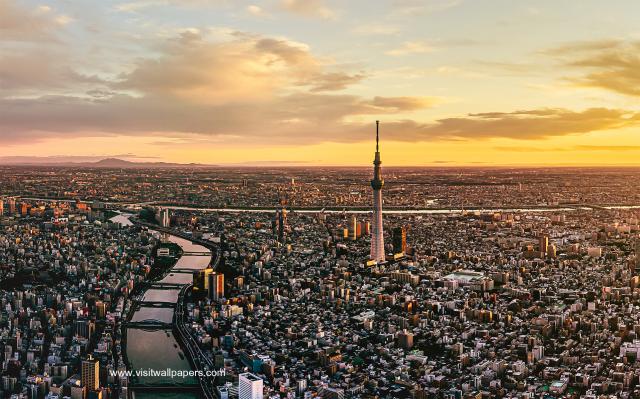 Aerial_view_577