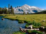 mountains_053