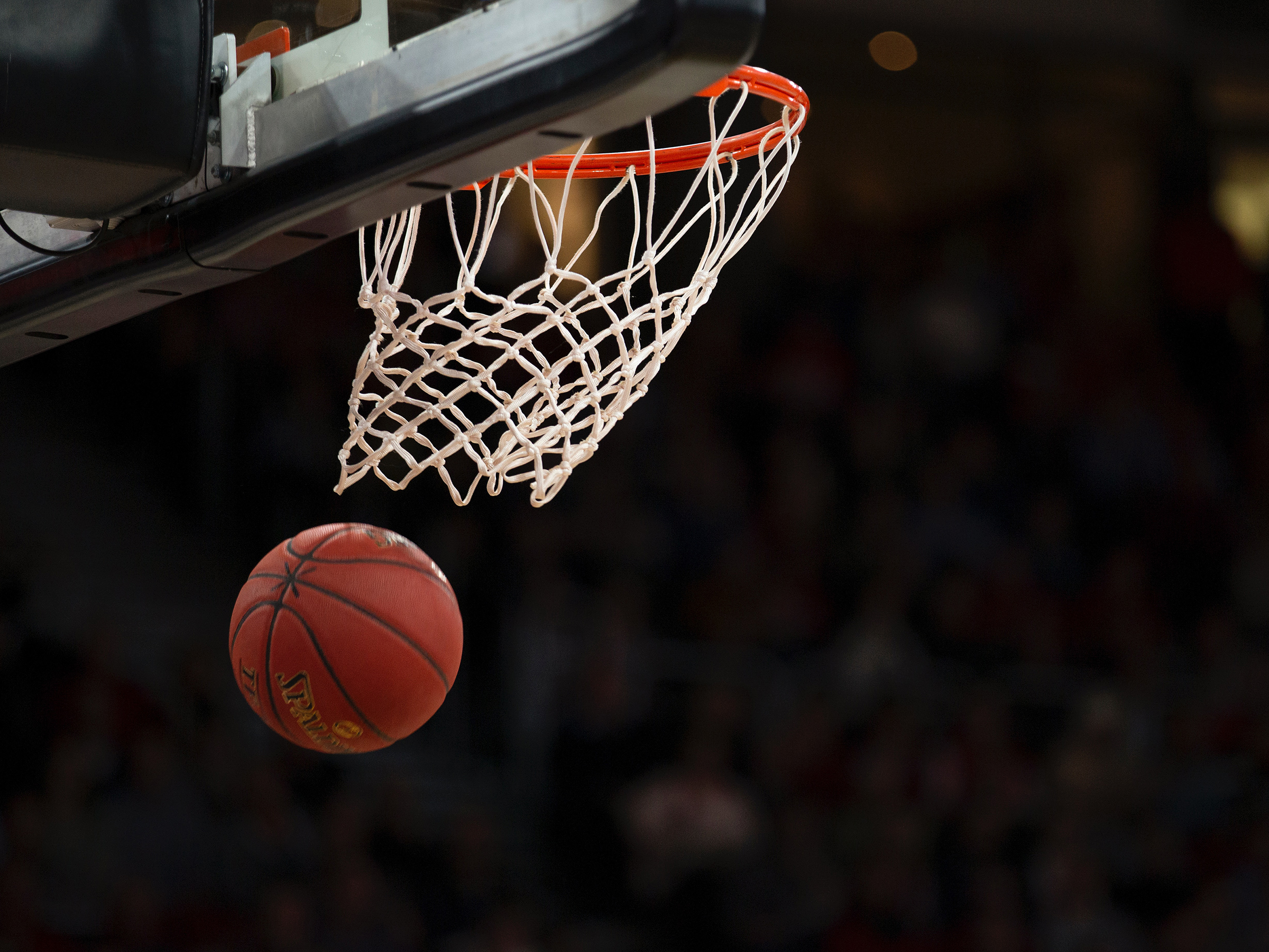 Basketball_59