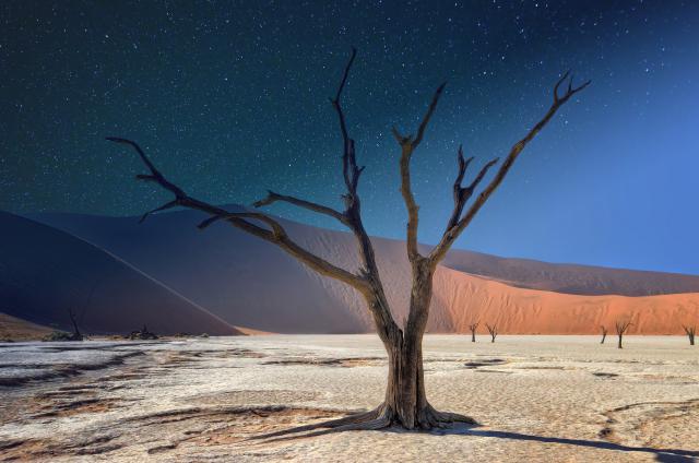 Desert_136