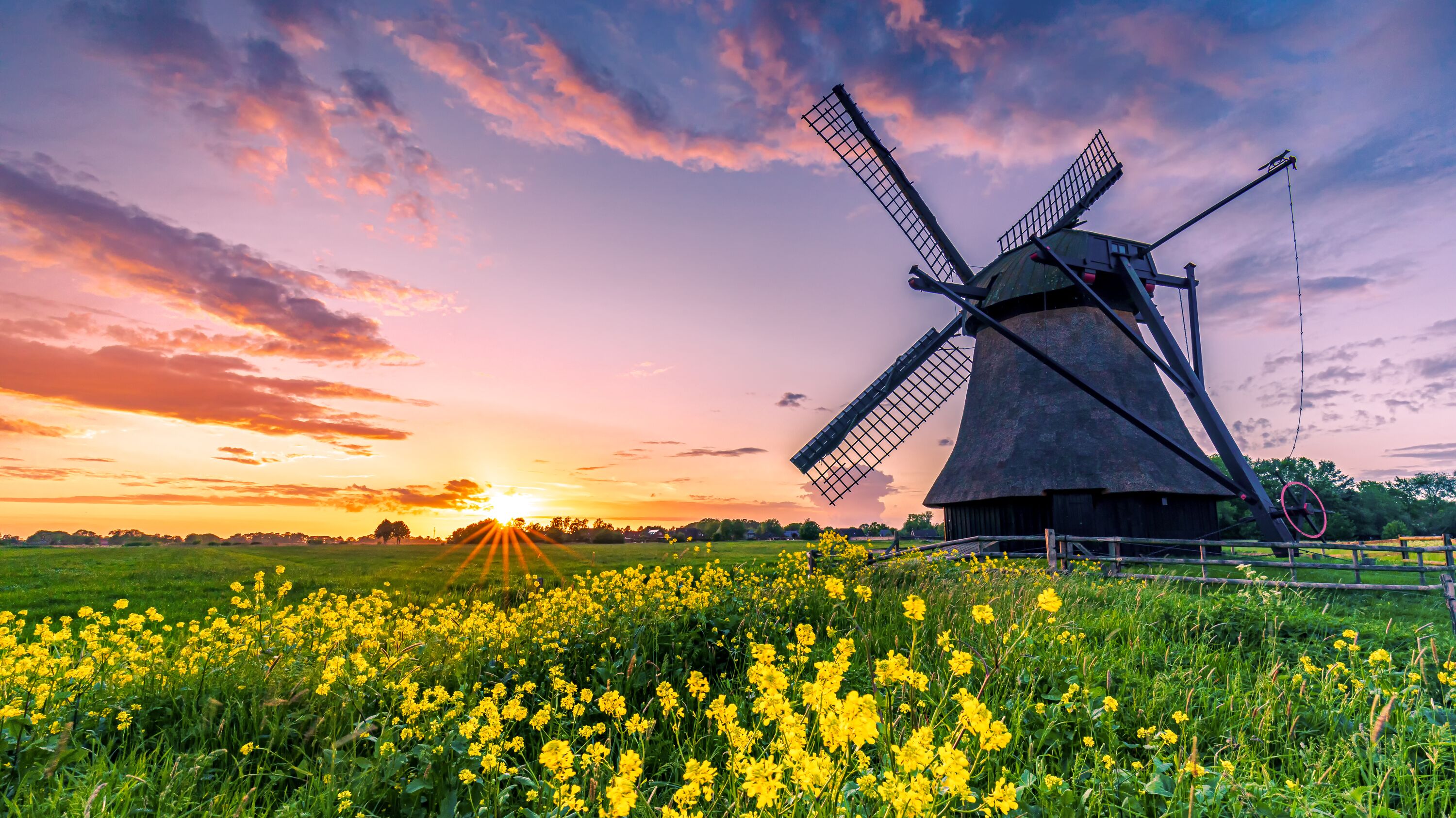 Windmill_76