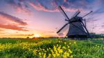 Windmill_76