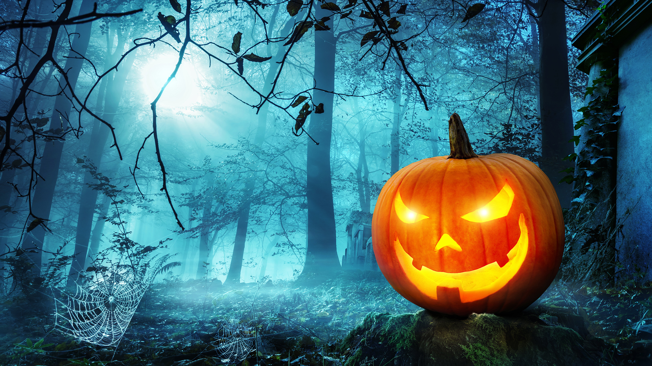 Pumpkin_20