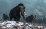 Animals_806
