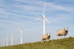 wind_turbines_15