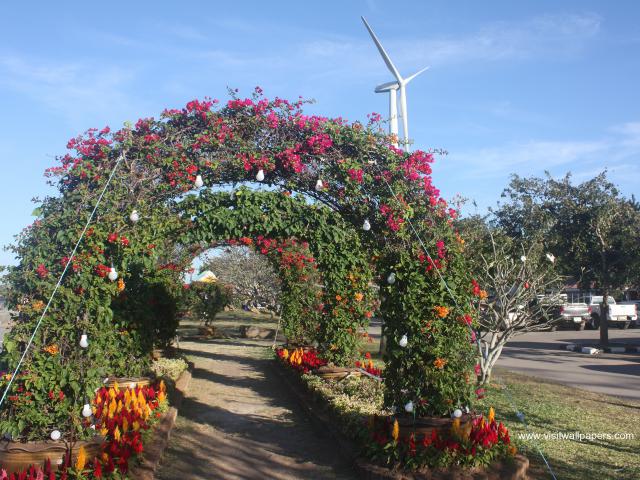 wind_turbines_16