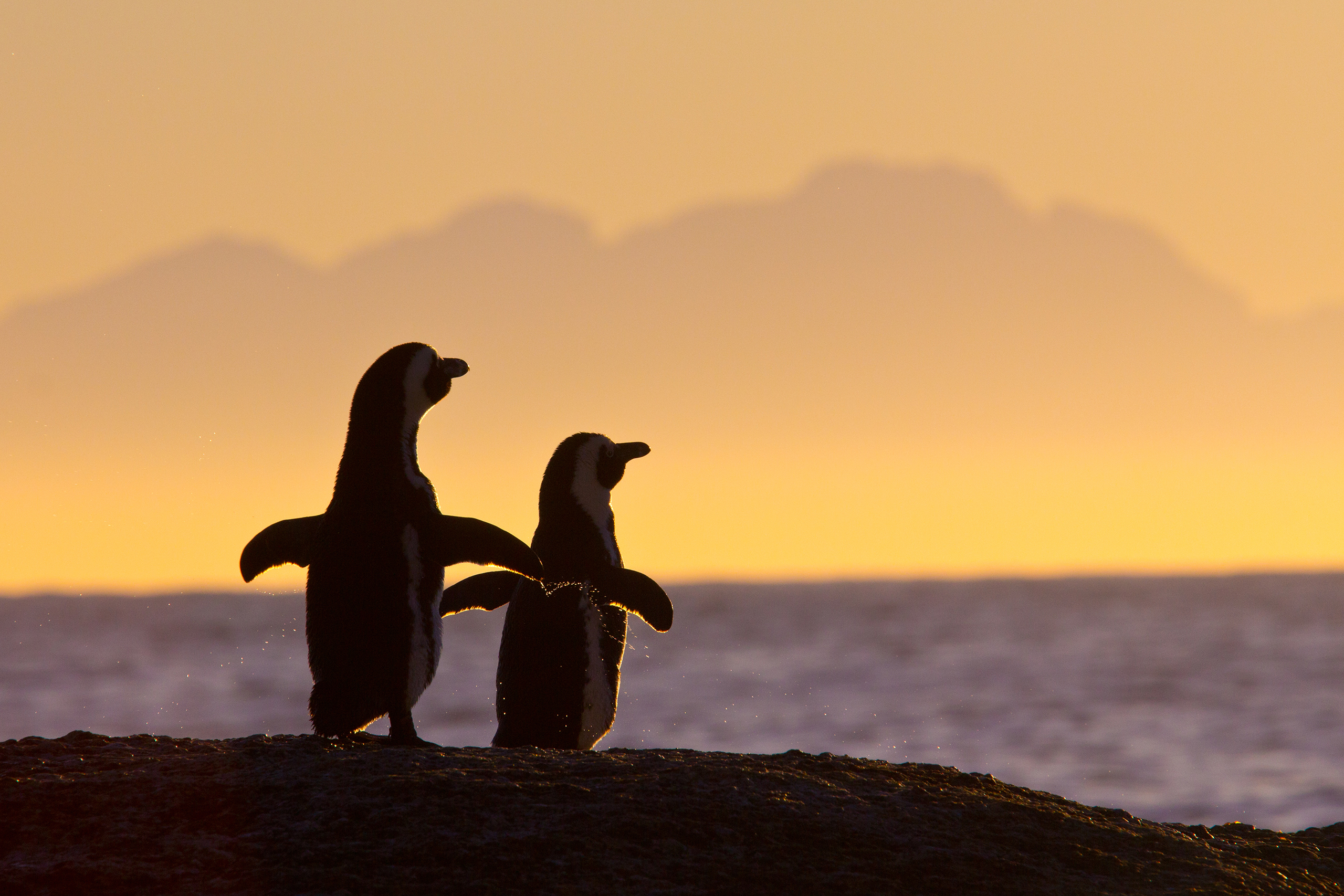 Sunset_1259