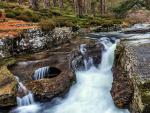 Scotland_075