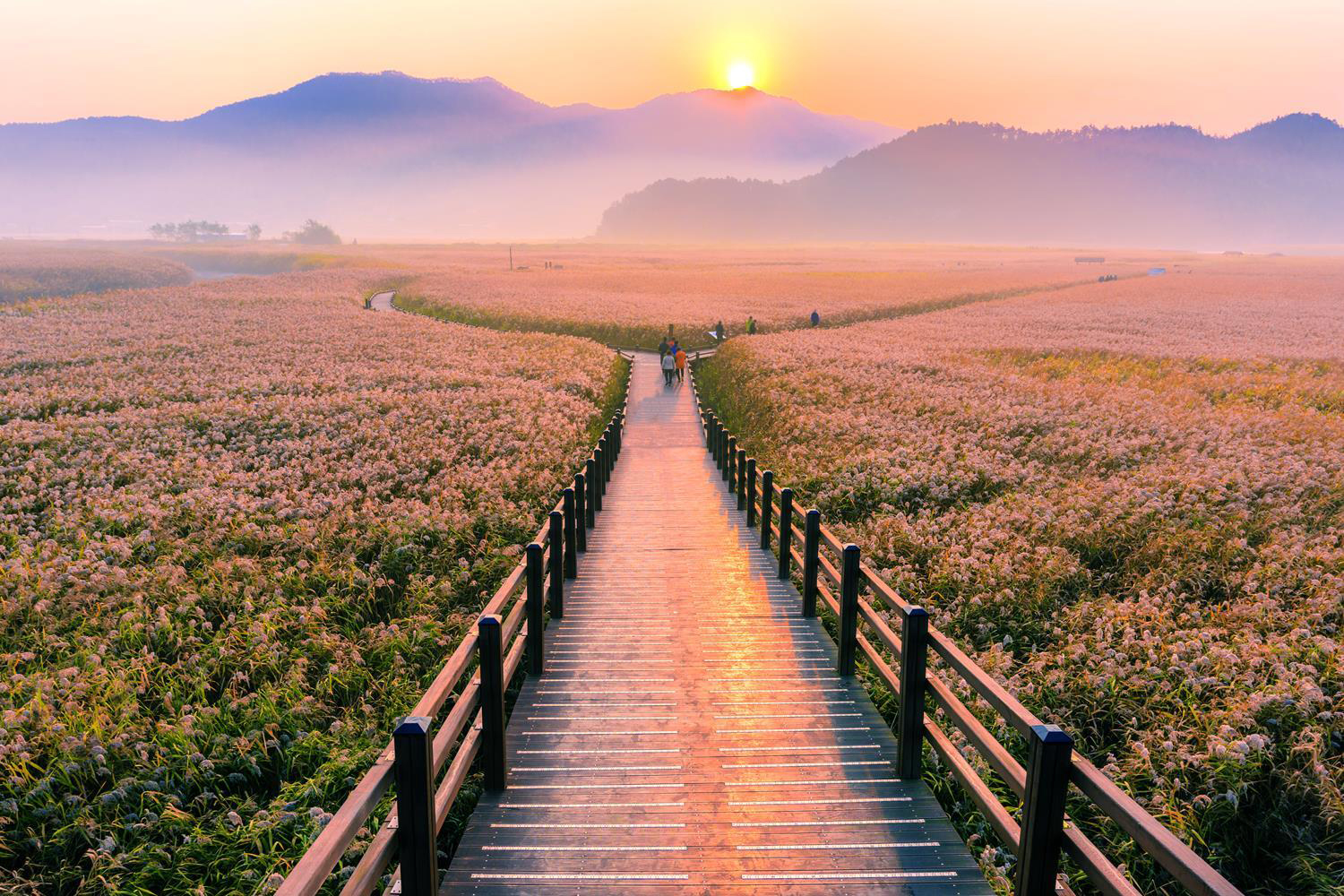 Sunrise_418