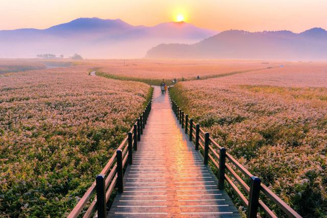 Sunrise_418