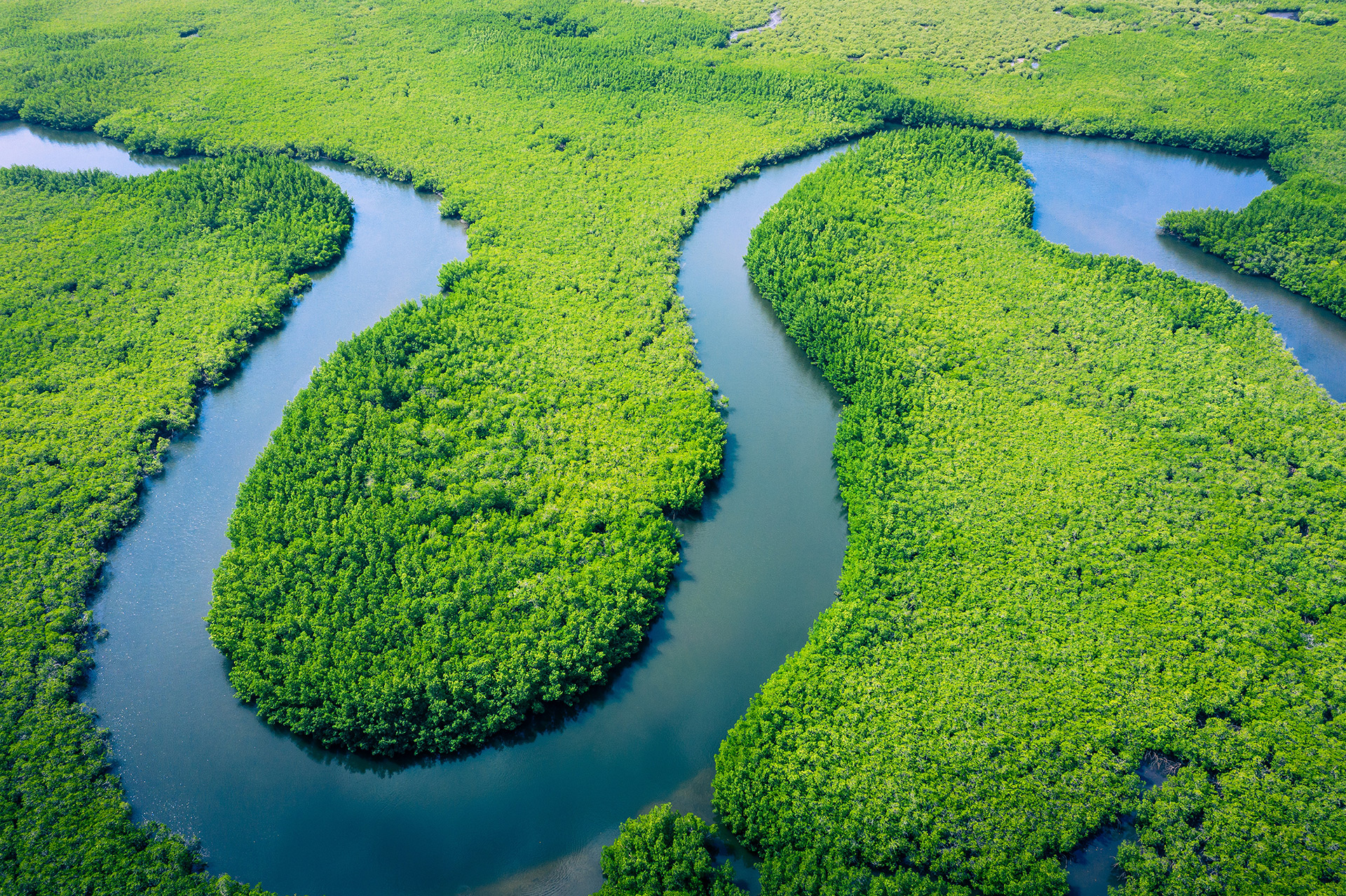 Aerial_view_600
