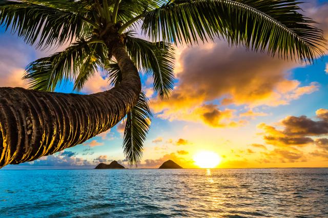 Sunrise_424