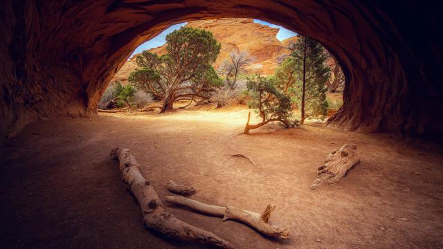 Parks_348