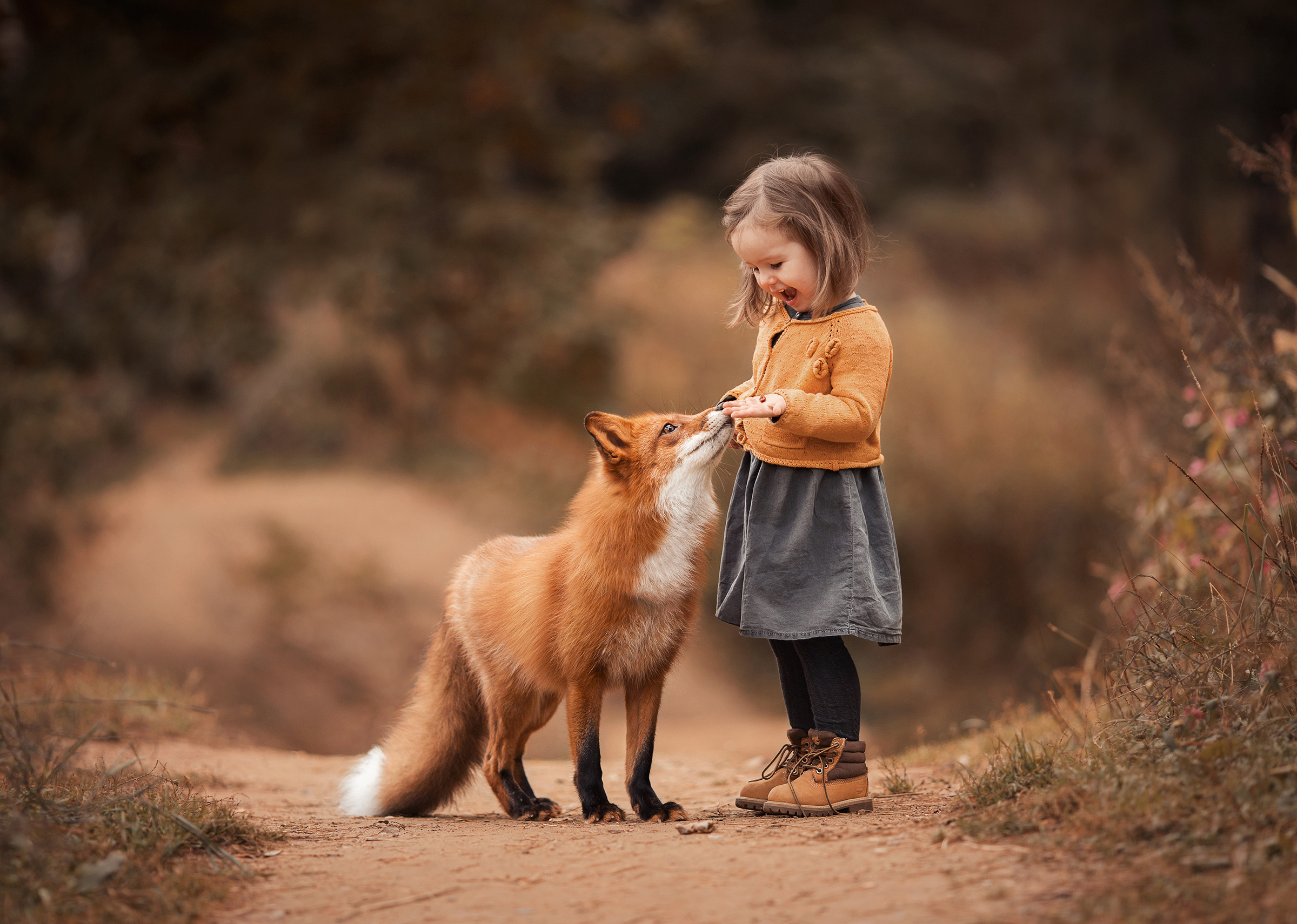 Animals_819