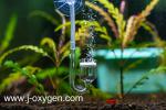 jakawal_oxygen_043
