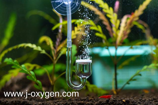 jakawal_oxygen_043