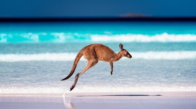 Australia_216