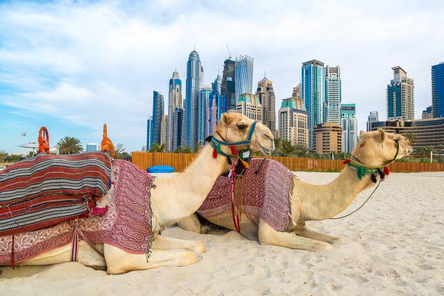 Dubai_124