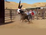 Jackass_Forever_01