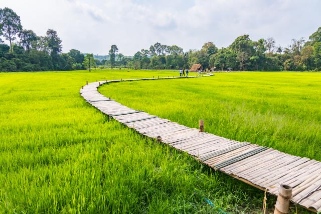 thailand_761