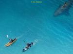 the_reef_stalked_02