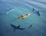 the_reef_stalked_03
