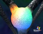 windows_xp_015