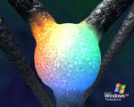 windows_xp_015