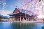 south_korea_15