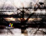 windows_xp_040
