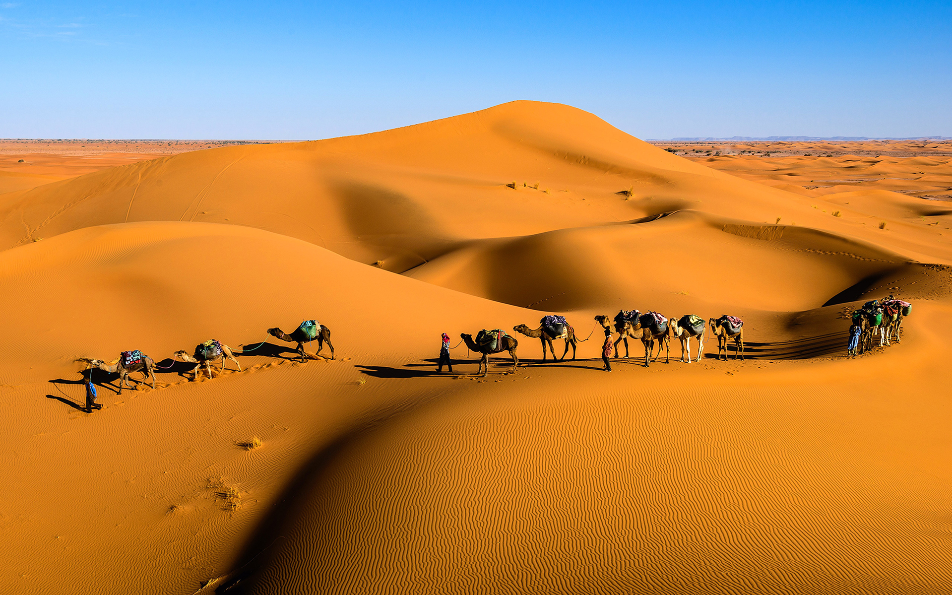 Desert_148
