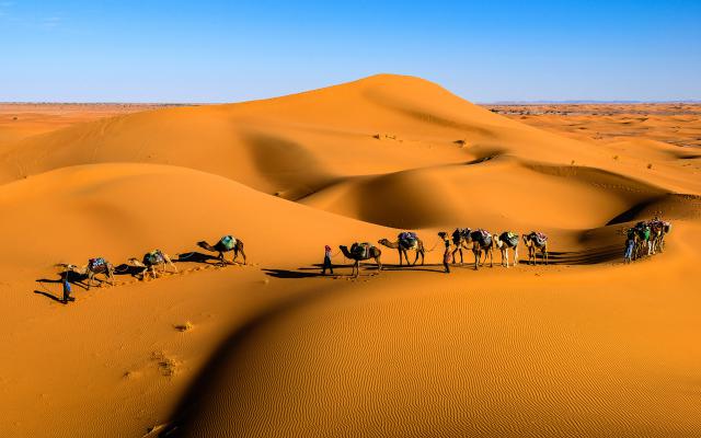 Desert_148