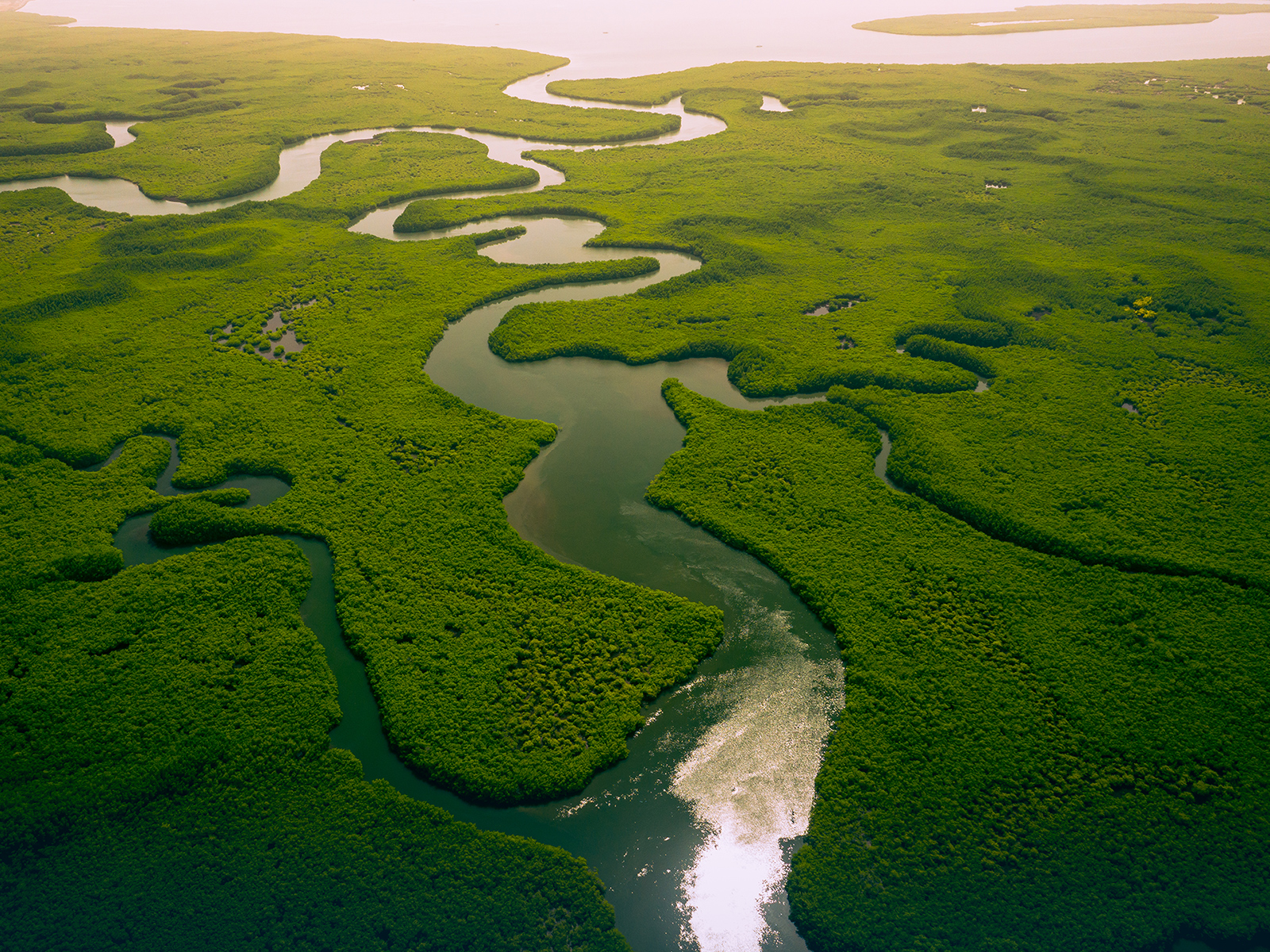 Aerial_view_653