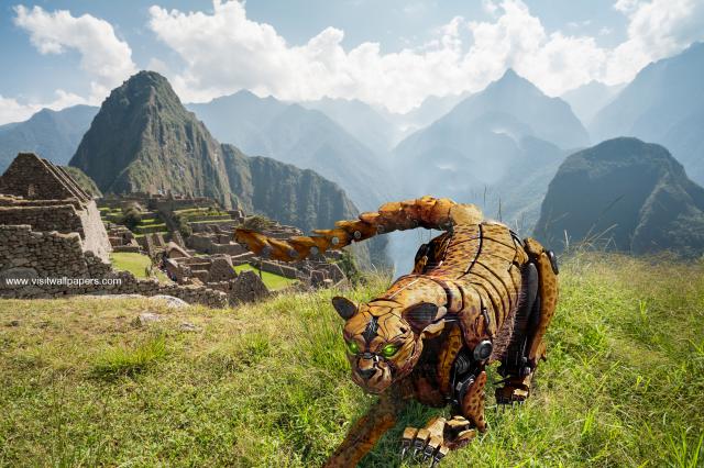 transformers215