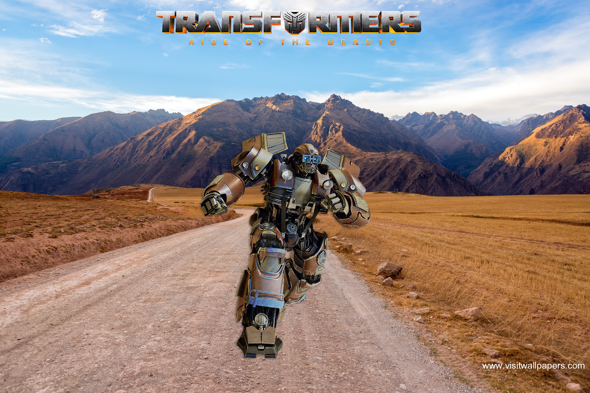 transformers219