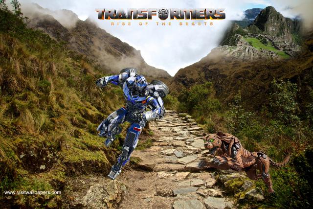 transformers226