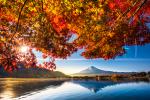 Japan_218