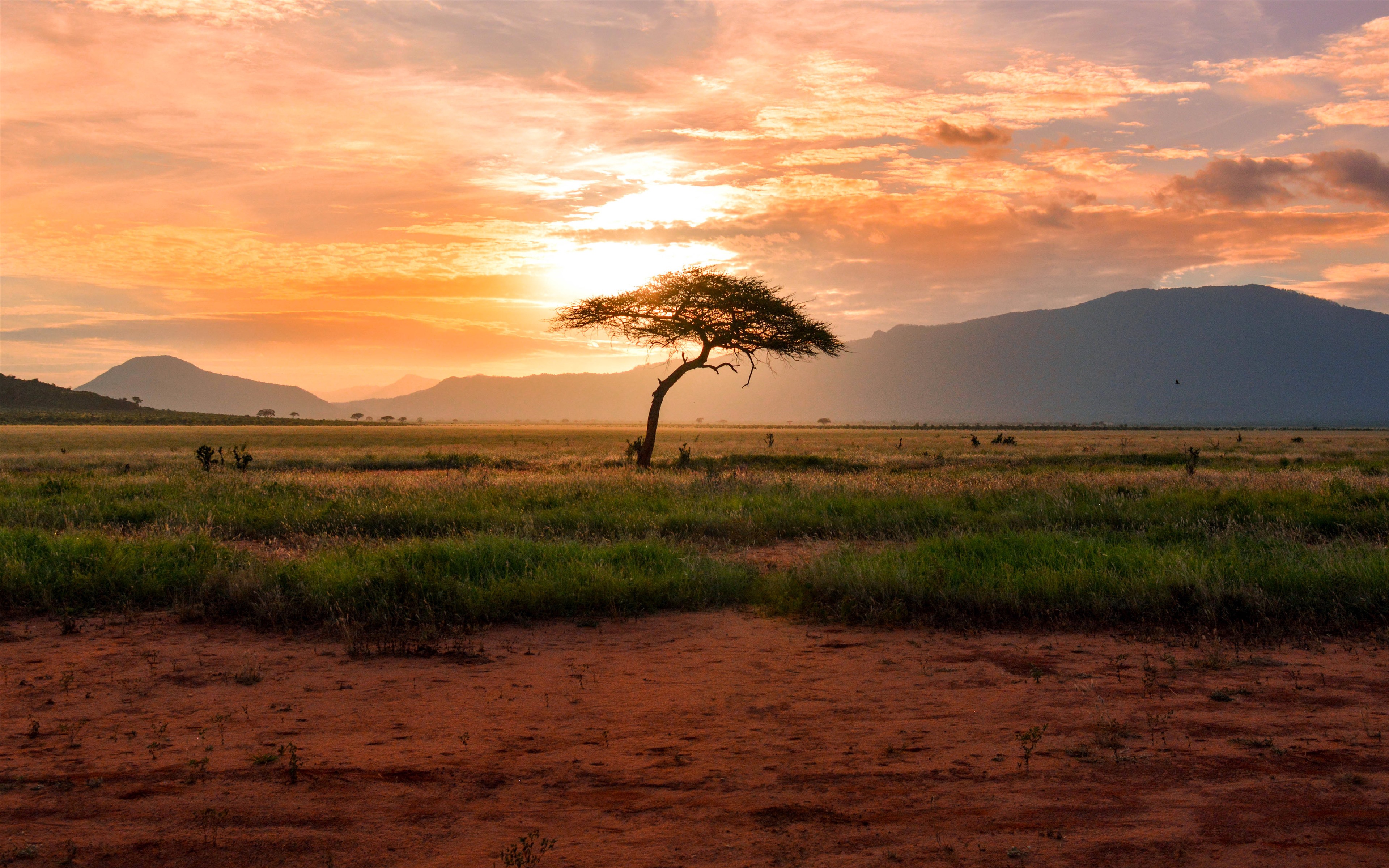 Sunrise_450