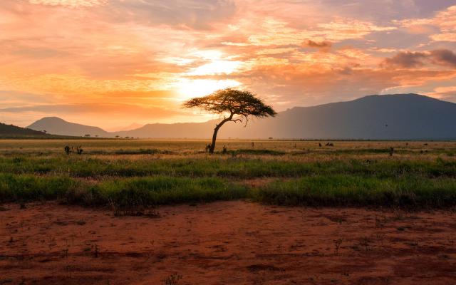 Sunrise_450